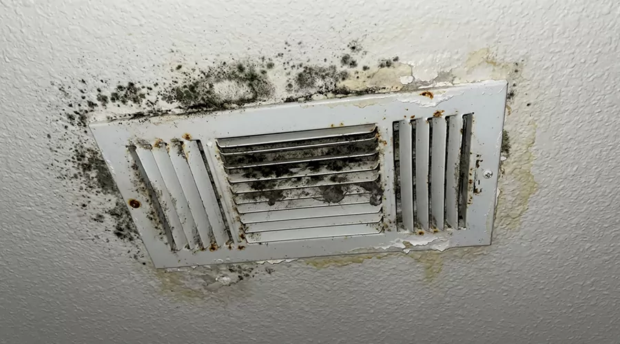 What to Do About Mold in Apartment Vents?