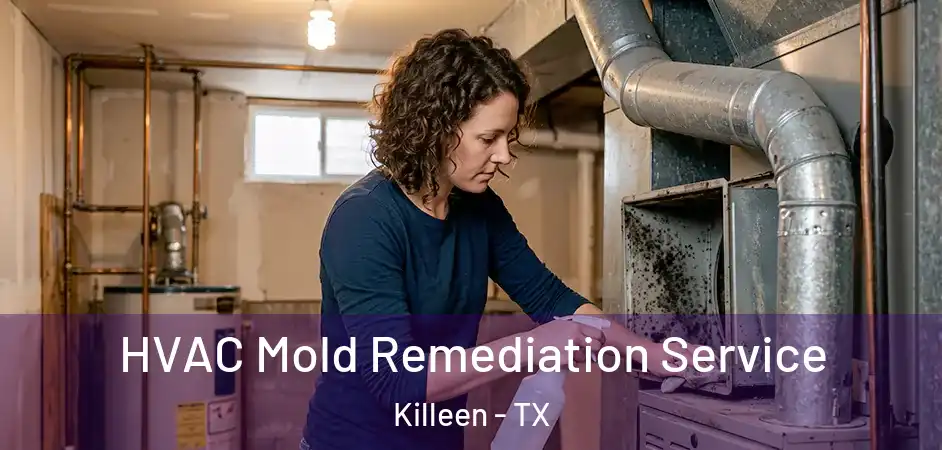  HVAC Mold Remediation Service Killeen - TX